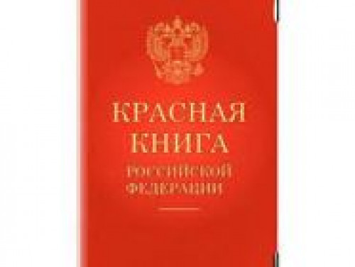 1667987873 zagruzhennoe 1