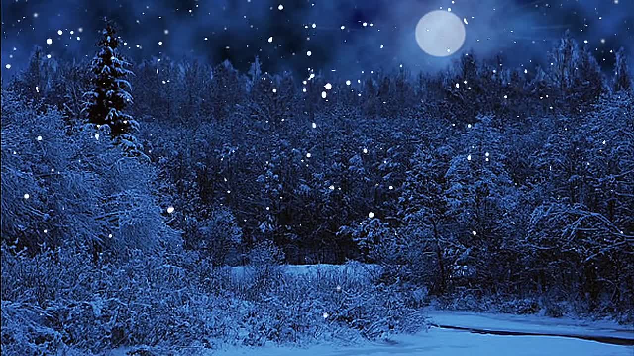 Фон зимнего ночного леса