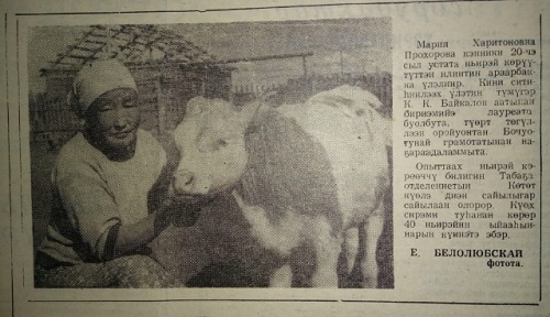Ньирэй 2