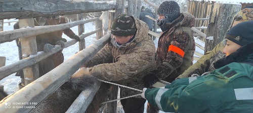 Рабочие моменты