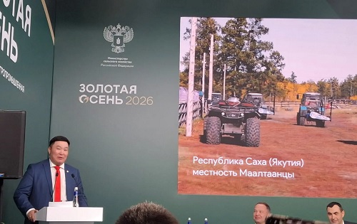 кони Вл Нест