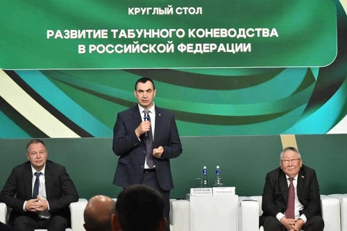 кони минситр