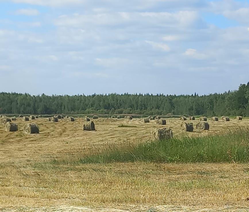 IMG 20260810 WA0293
